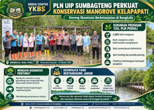 PLN UIP Sumbagteng Perkuat Konservasi Mangrove Kelapapati, Dorong Ekowisata Berkelanjutan di Bengkalis